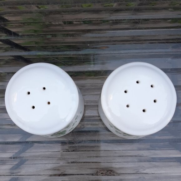 Corning-Corelle Coordinates Ivy Swirl Salt and Pepper Shakers Set - Picture 3 of 8